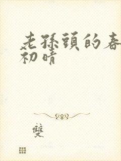 老孙头的春天林初晴