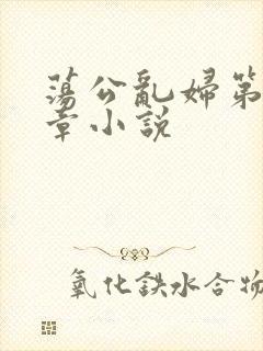 荡公乱妇第51章小说