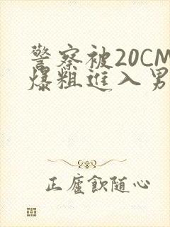 警察被20CM爆粗进入男男软件