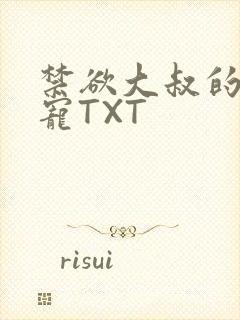 禁欲大叔的心尖宠TXT