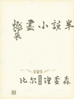 燃尽小说半截白菜