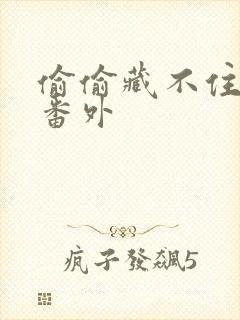 偷偷藏不住新婚番外