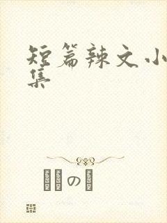 短篇辣文小说合集