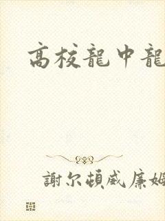 高校龙中龙