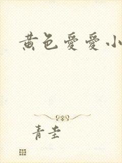 黄色爱爱小说