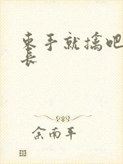 束手就擒吧韩队长