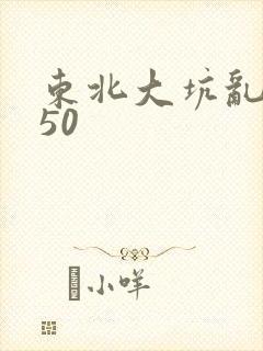 东北大坑乱1—50