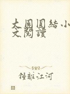 大团圆结小茹全文阅读