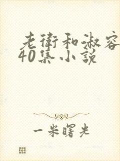 老卫和淑容1-40集小说