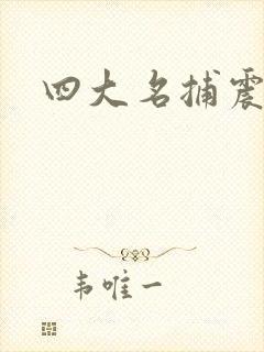 四大名捕震关东