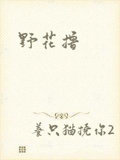 野花撸