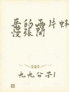 岳的两片蚌肉慢慢张开