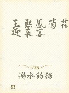 王熙凤菊花门初迎来客