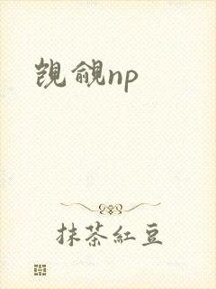 觊觎np