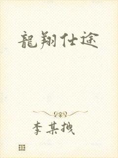 龙翔仕途