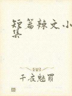 短篇辣文小说合集