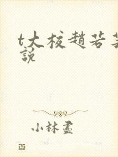 t大校赵若芸小说