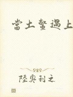 当土鳖遇上海龟