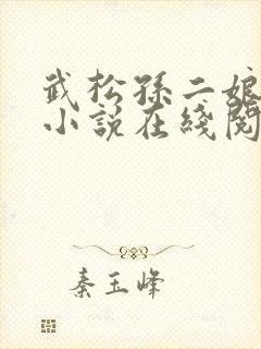 武松孙二娘云雨小说在线阅读