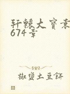 轩辕大宝袁雪妃674章