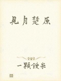 见月楚原