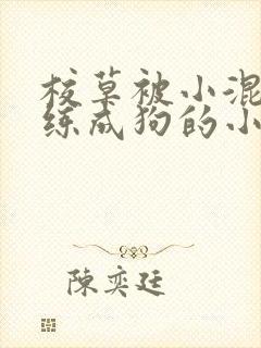 校草被小混混训练成狗的小说