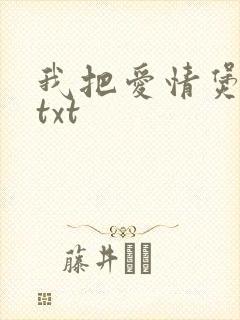 我把爱情煲成汤txt
