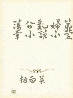 荡公乱妇第51章小说小莹