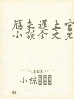 雁未迟上官穿越小说全文免费阅读