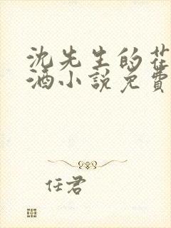 沈先生的花式调酒小说免费阅读