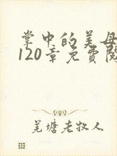 掌中的美母版主120章免费阅读