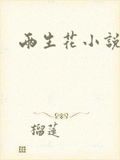 两生花小说