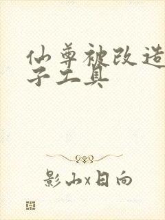 仙尊被改造成产子工具