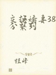 交换娇妻38部分系列