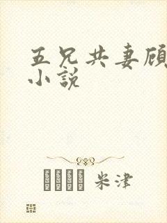 五兄共妻顾心儿小说