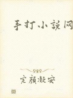 手打小说网