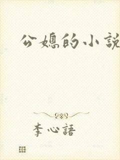 公媳的小说