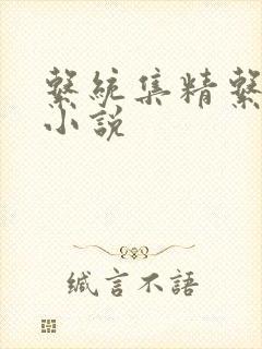 系统集精系统 小说