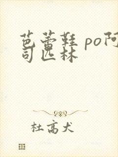 芭蕾鞋 po阿司匹林