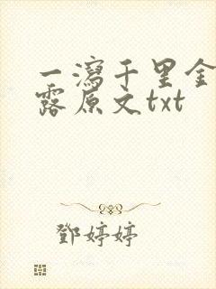 一泻千里金银花露原文txt