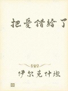 把爱错给了你