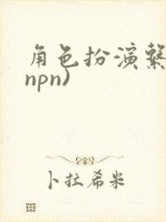 角色扮演系统(npn)