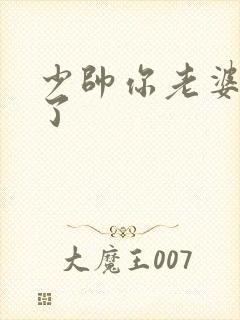 少帅你老婆又跑了