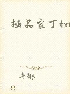 极品家丁txt