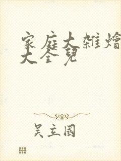 家庭大杂烩小说大全儿