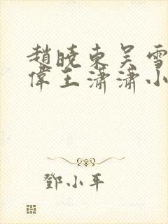 赵晓东吴雪晴郑伟王潇潇小说