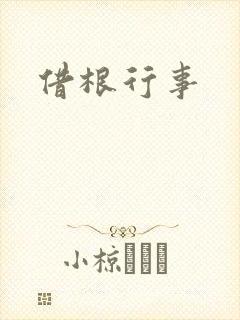借根行事