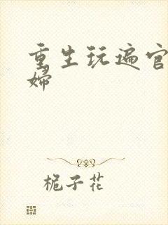 重生玩遍官场贵妇