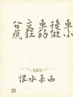 公交车后车座的疯狂的做小