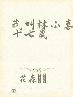 我叫林小喜今年十七岁